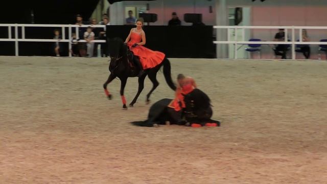 Андалузские лошади и всадницы красавицы #ИППОсфера 2018 Spanish Andalusian horses show #Hipposphere смотреть онлайн