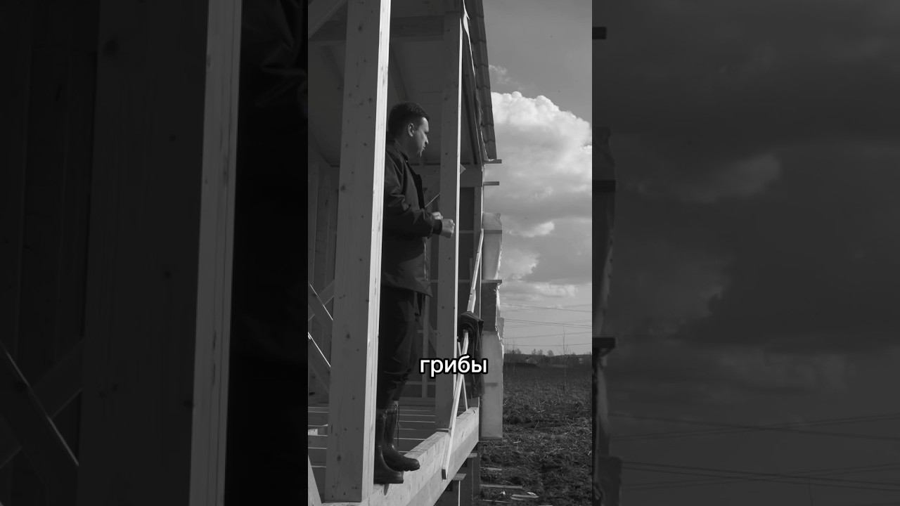 Из чего делают стены каркасного дома. #каркасник #каркасныйдом #дом #коттедж #стройка #строительство смотреть онлайн