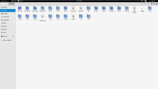 How to customize kali linux terminal/convert ascii into plane text смотреть онлайн