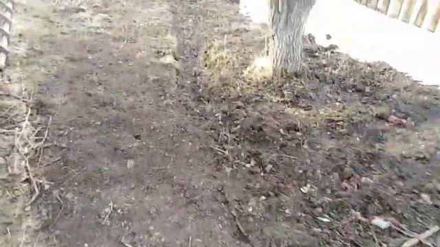 Обзор хозяйства куры, гуси, петухи смотреть онлайн