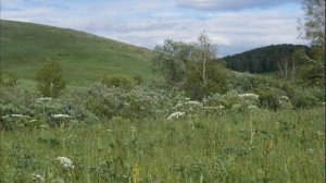 Песня РОДИНА