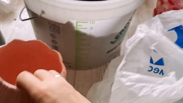 Спонтанная пересадка и съемка😵 смотреть онлайн