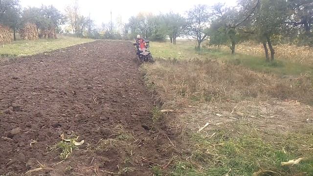 Вспашка огорода. СамоДельный минитрактор смотреть онлайн