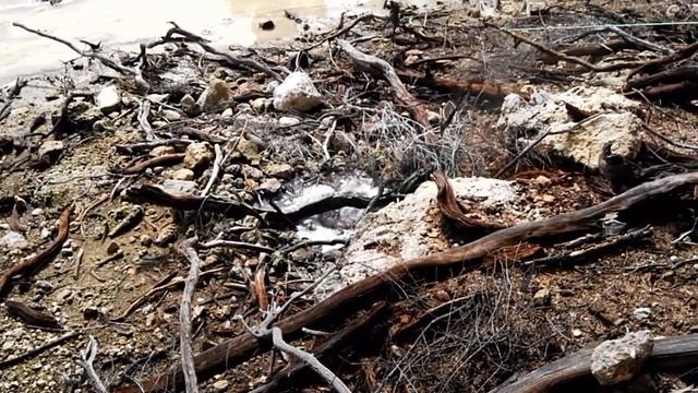 Пробуем сварить яйца в гейзере. Экономим на ресторанах, кафе и электричестве. смотреть онлайн