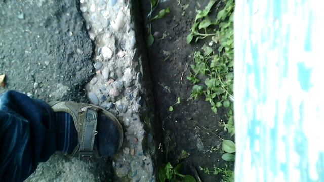 Мамбу открывай - видосик начинай смотреть онлайн