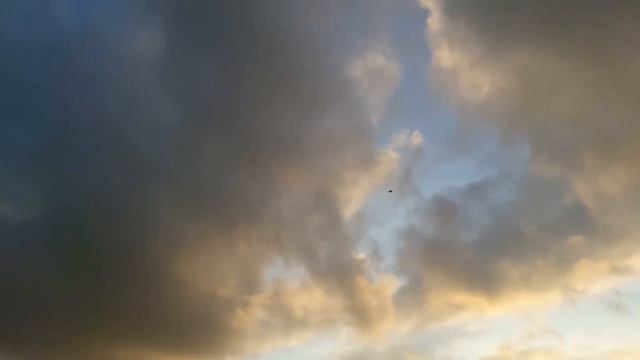 Eflite F16 Thunderbird & FMS F16 Aggressor Formation