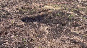 Как я делала высокие грядки