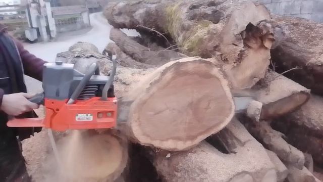 oleo Mac 999 chainsaw смотреть онлайн