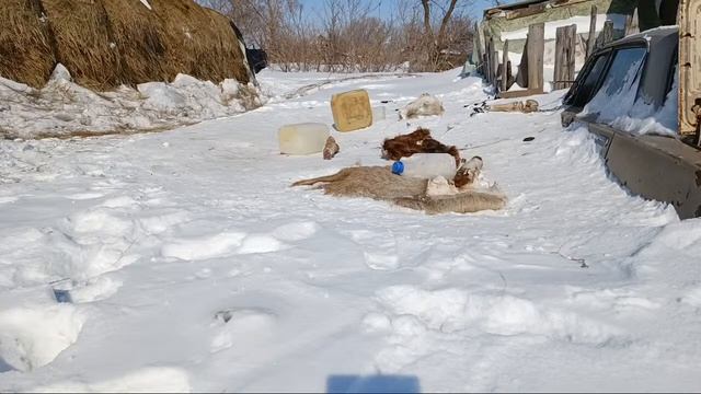 Россия Деревня смотреть онлайн