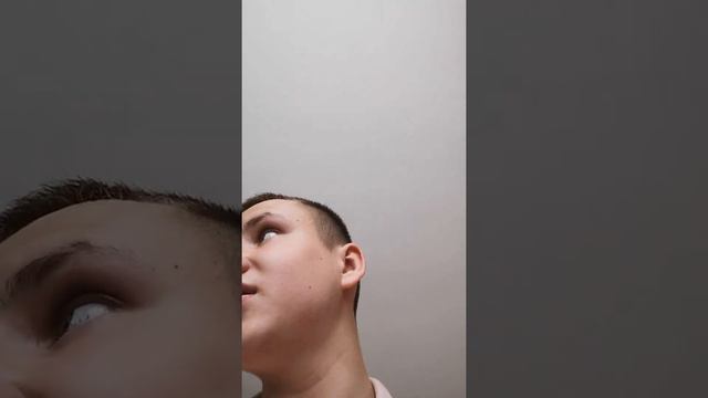 Энгри бердз эволюция смотреть онлайн