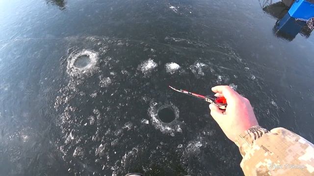 ОКУНЯ КАННИБАЛЫ! ПРОВАЛИЛСЯ ПОД ЛЁД! Кенгирское водохранилище. смотреть онлайн