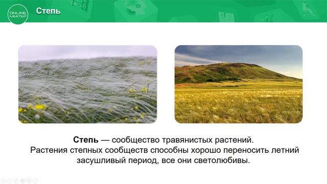 3 класс. Естествознание. 5 урок. Какие бывают природные сообщества растений? смотреть онлайн