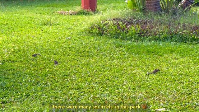 Day In My Life ☁️| Bangalore Days #aesthetic #aestheticvlog #dayinmylife