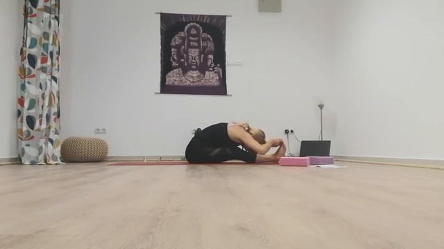 Раздвижване, детокс, релакс. Лека практика Хатха флоу 60 мин. Начинаещи. Студио Ахимса, Шумен. смотреть онлайн