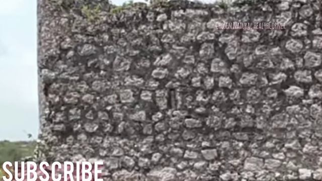 Murder and History | Jamaica's First Serial Killer| Lewis Hutchinson the Mad Doctor from Scotland смотреть онлайн