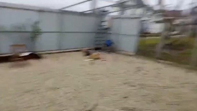 Навес за КОПЕЙКИ