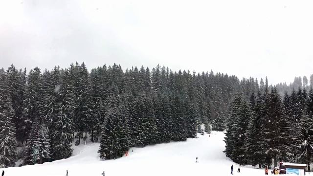 Winter Donovaly Slovakia смотреть онлайн