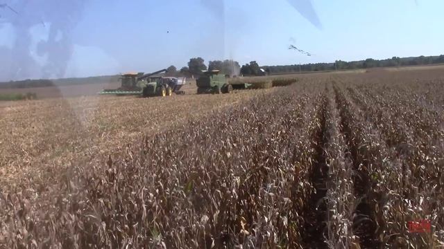 Riding with Matt: John Deere S790 Combine Harvesting Corn смотреть онлайн