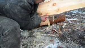 Сруб в ласточкин хвост , первый венец .