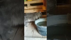 Мейн кун в бане