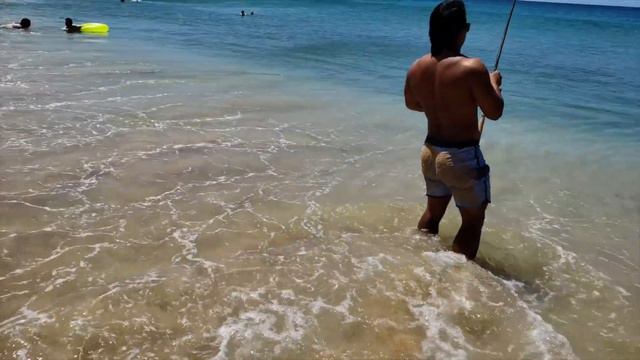 Hawaii Fishing Akule/Halalu Catch+Cook(1K Giveaway Special) Part 2 смотреть онлайн