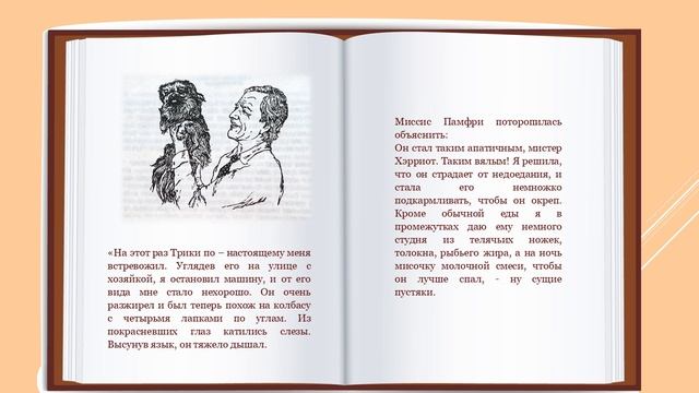 Виртуальная выставка Книга ищет читателя смотреть онлайн