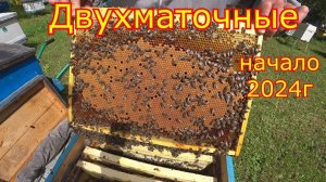 ДВУХМАТОЧНЫЕ! История начинается, сезон 2024 года!