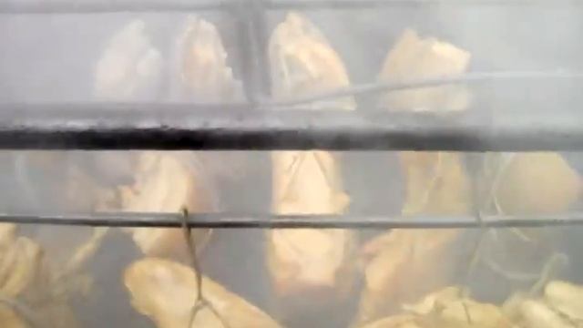 копчения сала и рыбы смотреть онлайн