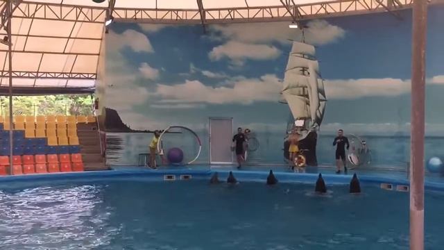 Дельфинарий Пхукет 2017 смотреть онлайн