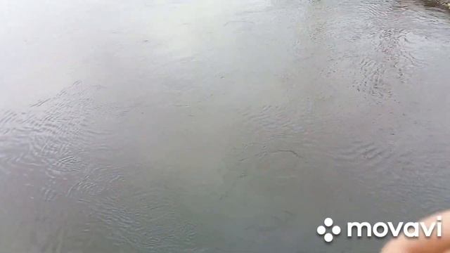 Рефтинское водохранилище. Замер глубины холодного канала на середине . смотреть онлайн