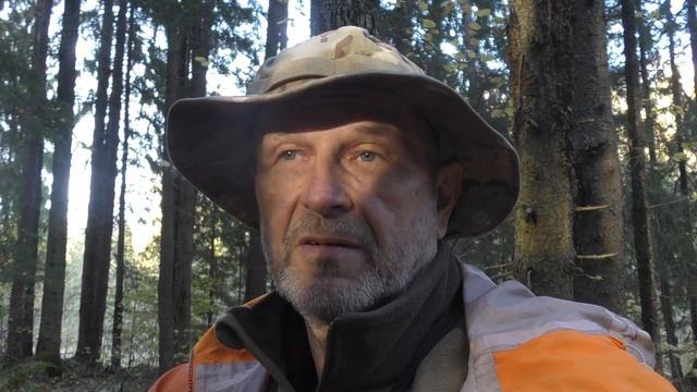 Осенний поход со школьниками смотреть онлайн