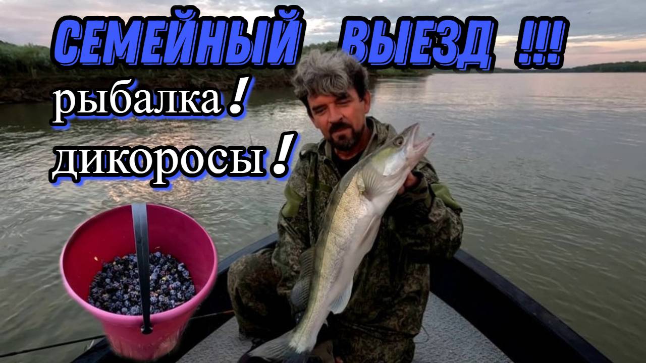 СЕМЕЙНЫЙ ВЫЕЗД !!! 27 августа 2024г. Рыбалка на Оби ! Сбор дикоросов ! смотреть онлайн