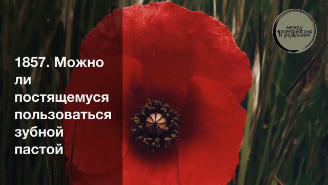 Можно ли постящемуся пользоваться зубной пастой / Шарх Булуг иль-марам смотреть онлайн