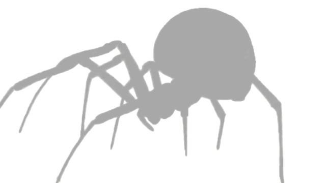 SCP-538 Shadow Spiders | object class euclid смотреть онлайн