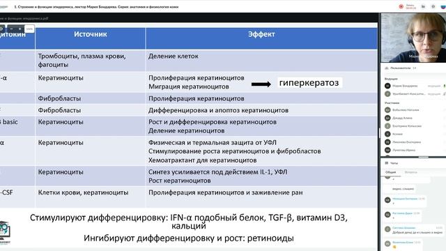 Строение и функции эпидермиса. Лектор Мария Бондарева #убвк_дерматология смотреть онлайн