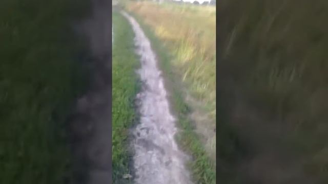 Продам минск смотреть онлайн