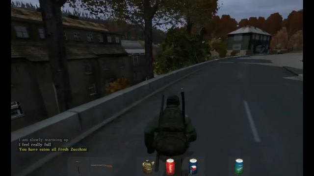 Просто лутаемся в Dayz смотреть онлайн
