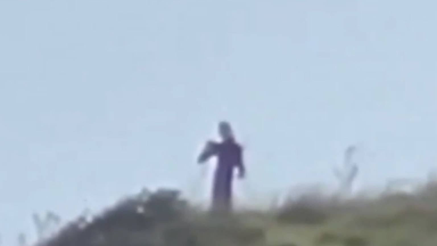 Плеядианцы Наблюдающие за Островом смотреть онлайн