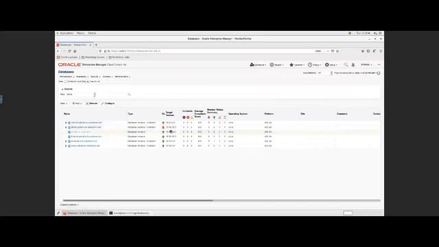Oracle Enterprise Manager 13c Series - Patch смотреть онлайн