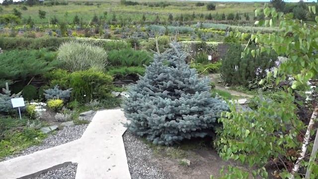 Цветущая долина, дендрарий, с. Алтайское смотреть онлайн