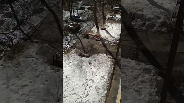 г.Новокуйбышевск,10апреля.Как ЖУК "выполняет"свои обязанности по договору. смотреть онлайн