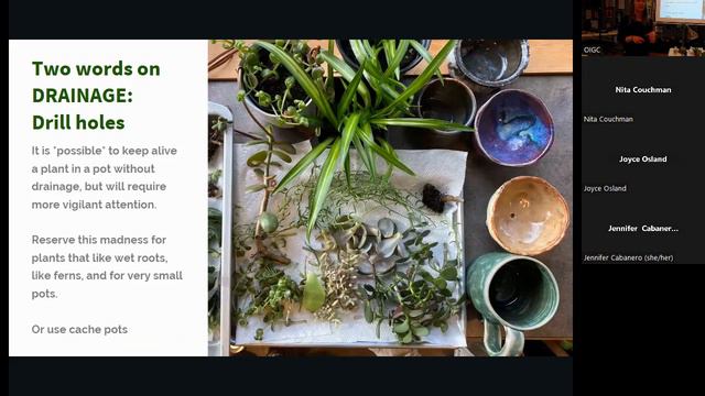 Lynn Johnson - For the Love of Houseplants смотреть онлайн