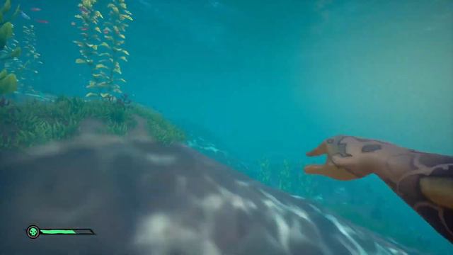How to get the Fallen Sea Dog Lantern смотреть онлайн