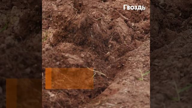 Отец в ужасе смотрел на ноги своих детей... На следующий день он ушел в горы. смотреть онлайн