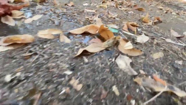 4k Video снято на Телефоне. смотреть онлайн