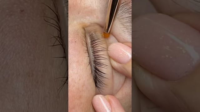 Обучающий проект по ламинированию ресниц , дарим айфон 14 смотреть онлайн