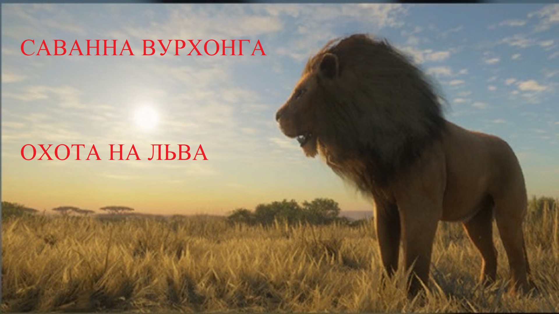 The Hunter Call of the Wild: Охота на льва. Часть 1 смотреть онлайн