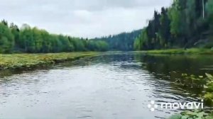 водомёт 15 л.с