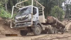 ЕСОВОЗ RENAULT KERAK 440 DXI _ Лесовозы Лесные