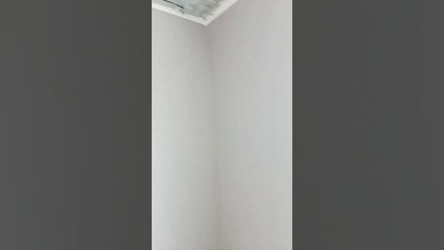 Самые лучшие красивые парни с обоями делают свою работу. смотреть онлайн